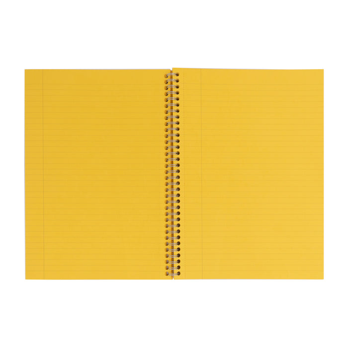 Pukka Pads Irlen Lined A4 Notebook in Gold - Pack of 3